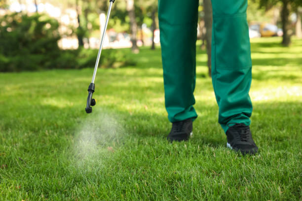 Best Residential Pest Control  in South Plainfield, NJ