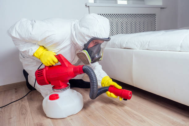 Trusted South Plainfield, NJ Pest Control Experts