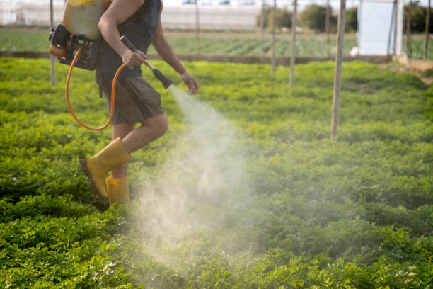 Pest Control Cost in South Plainfield, NJ