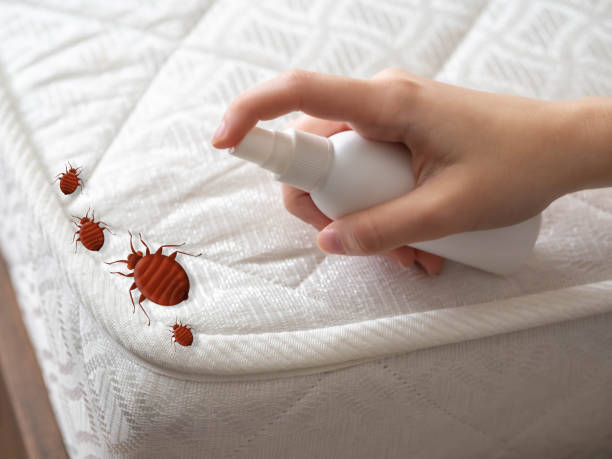 Best Insect Control  in South Plainfield, NJ