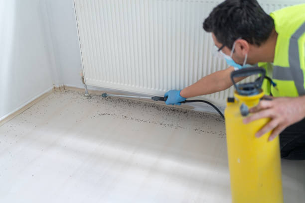 Best Flea Control Services  in South Plainfield, NJ