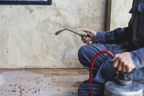 Best Pest Prevention Services  in South Plainfield, NJ