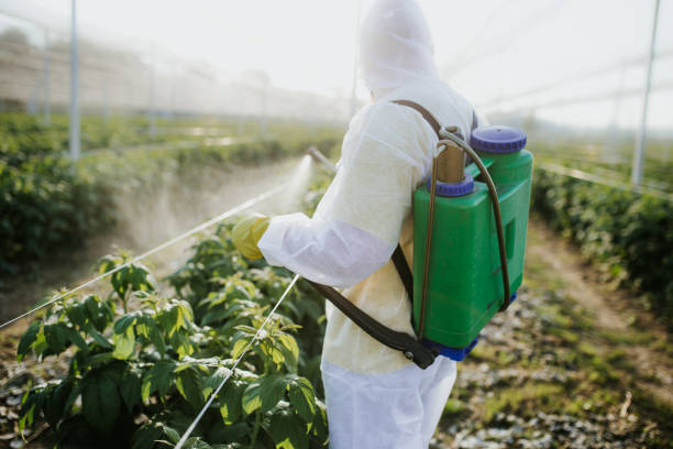 Best Affordable Pest Control Services  in South Plainfield, NJ